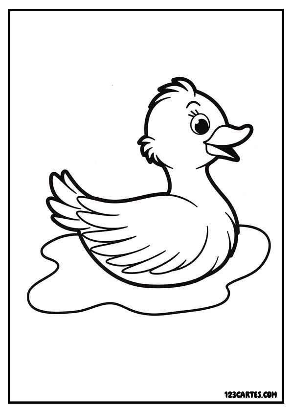 Coloriage canard stylisé, dessin simplifié pour débutants