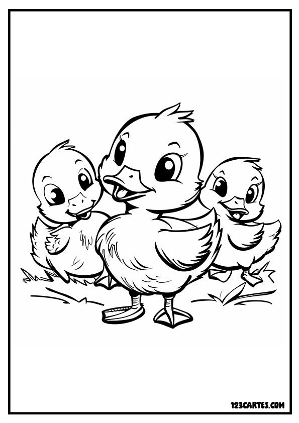 Coloriage trois mignons canetons de la même famille