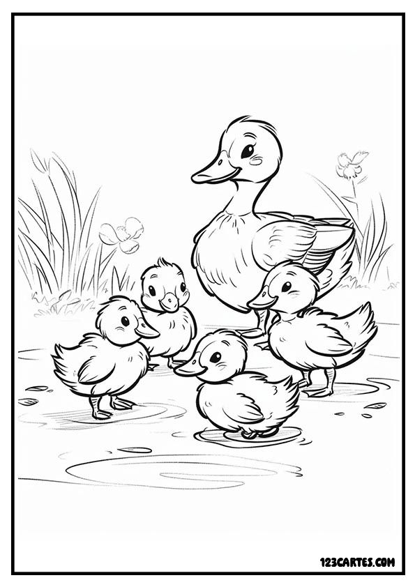 Coloriage famille de canards, scène aquatique animée