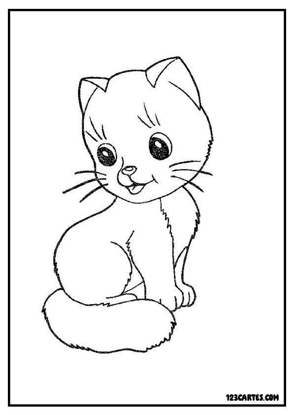 Coloriage chaton blanc, douceur