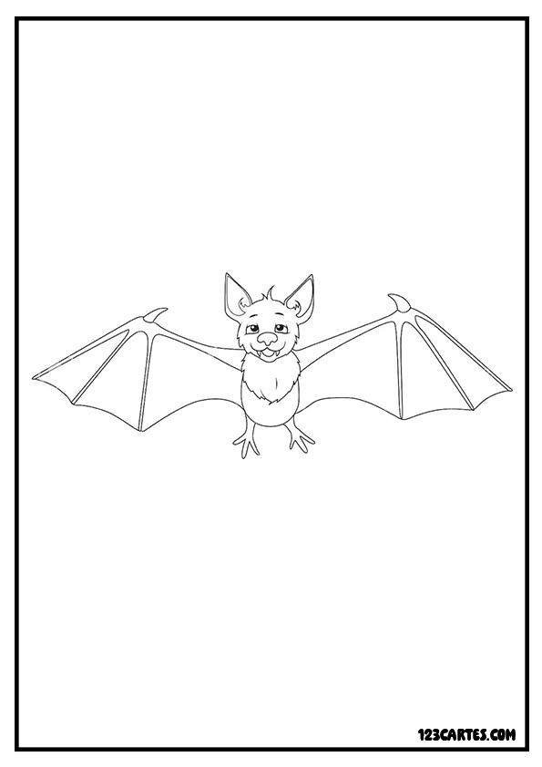 Coloriage chauve-souris simplifiée, dessin facile pour débutants