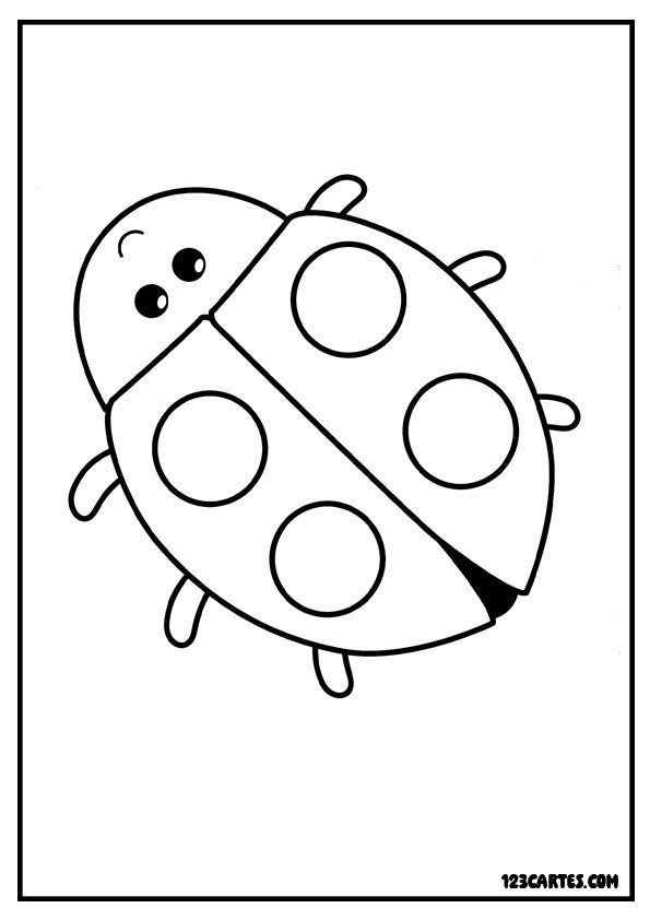 Coloriage simple de coccinelle vue de dessus pour enfants