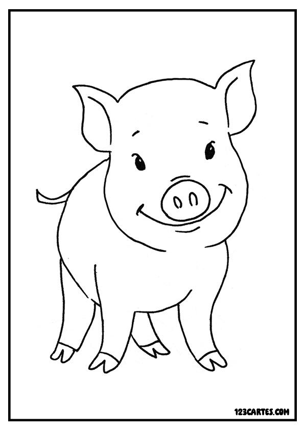 Coloriage détaillé de jeune cochon debout