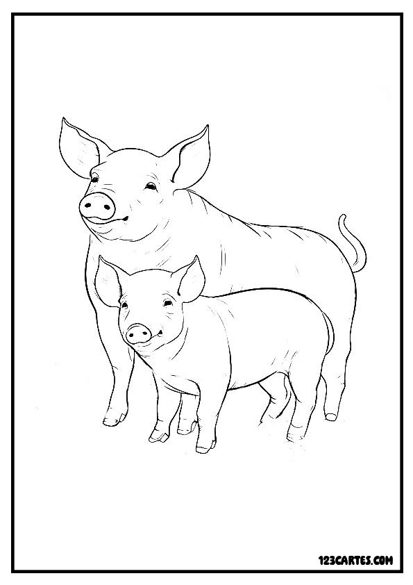 Image de cochon mère et son porcelet à imprimer