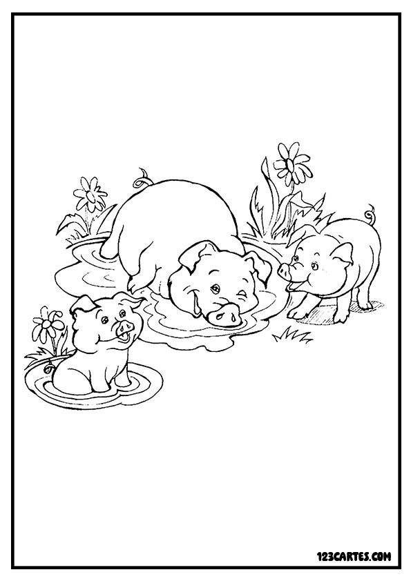 Coloriage de scène de ferme avec cochons et porcelets