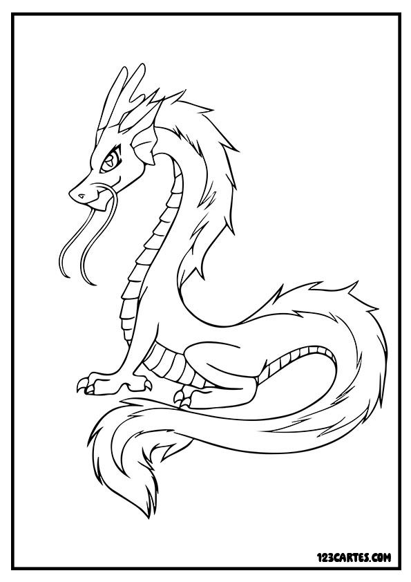 Dragon serpentin élancé, coloriage art asiatique