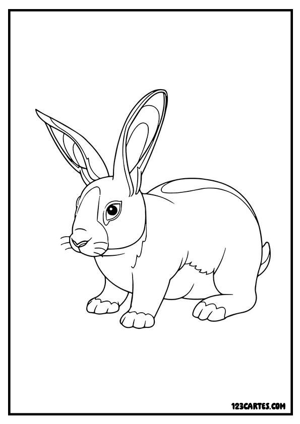 Lapin de garenne, dessin animalier à colorier