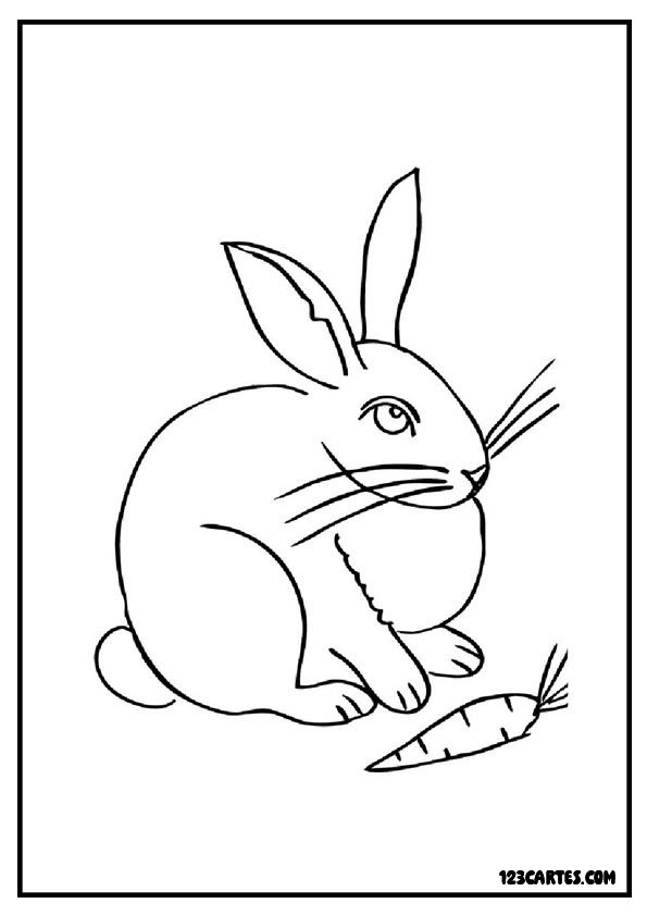 Lapin et carotte, coloriage éducatif alimentation animale