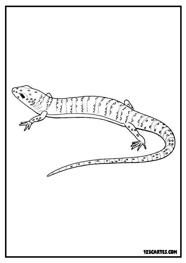 Lézard réaliste allongé, coloriage précis reptiles