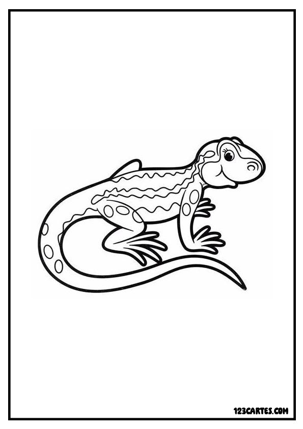 Iguane au repos, coloriage animaux exotiques