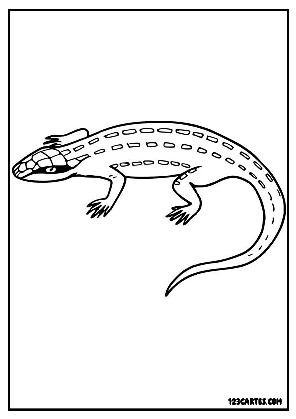 Lézard stylisé, coloriage à imprimer