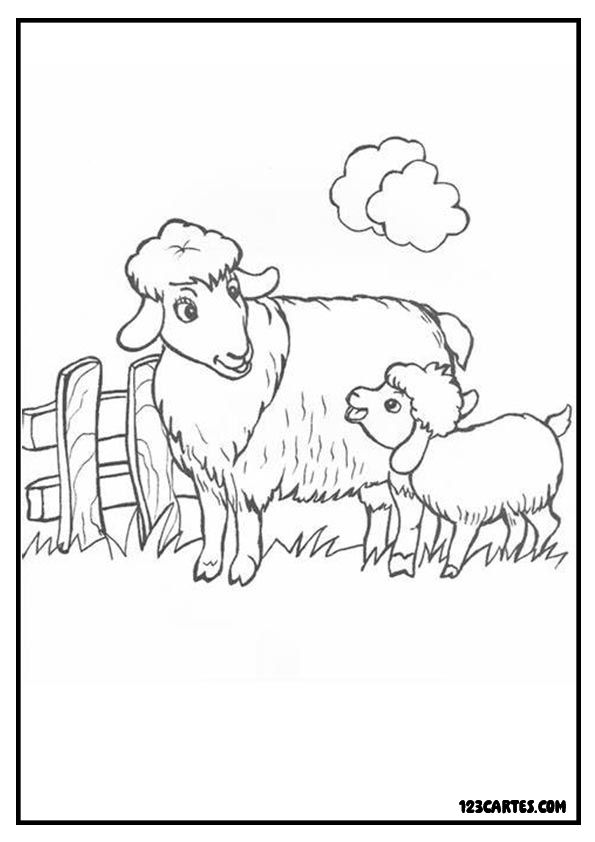 Famille moutons dans pré, coloriage scène campagne