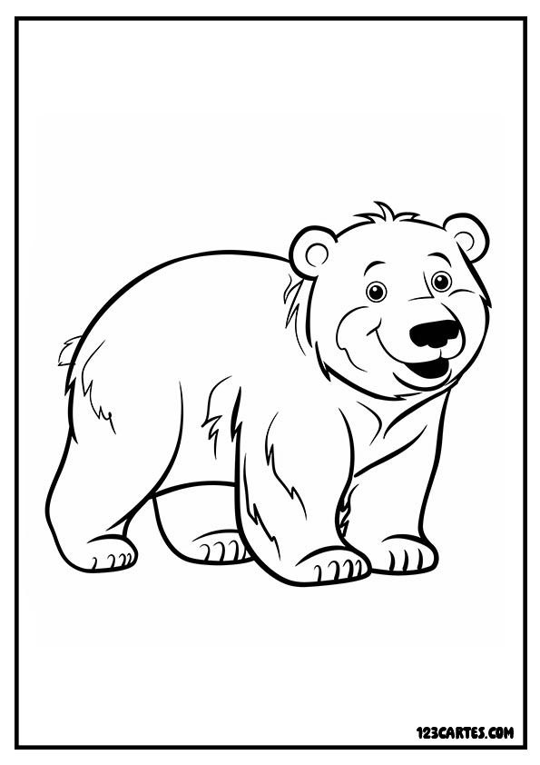 Ourson polaire, coloriage mignon animaux arctiques