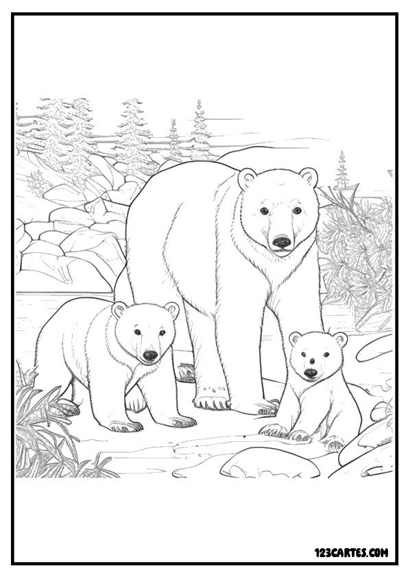 Ours blancs et petits, dessin tendre à colorier