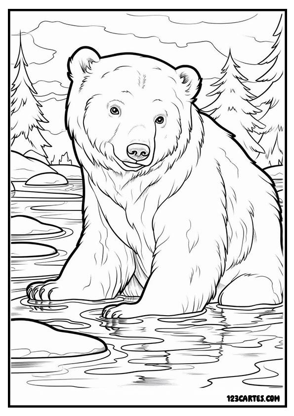 Ours polaire près de l'eau, dessin habitat naturel à colorier