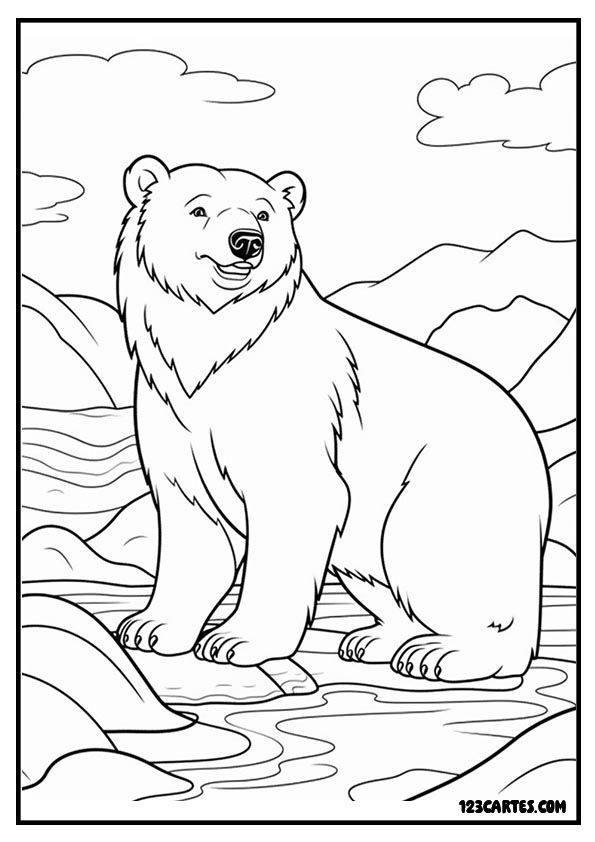 Ours polaire sur la banquise, coloriage paysage arctique