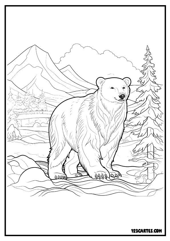 Ours polaire dans paysage arctique, coloriage éducatif