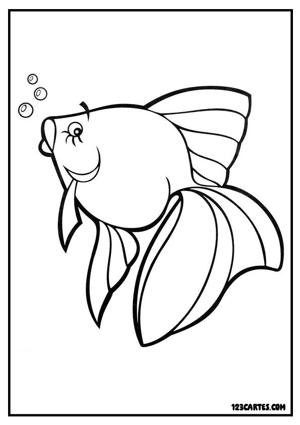 Coloriage d'un poisson-ange gracieux, parfait pour explorer les espèces exotiques