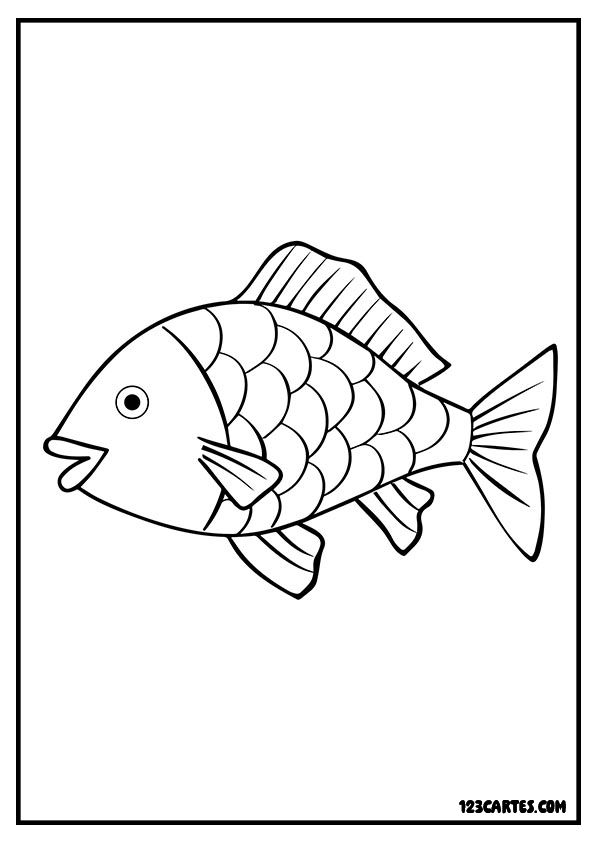 Coloriage réaliste d'un poisson aux écailles prononcées, idéal pour apprendre l'anatomie