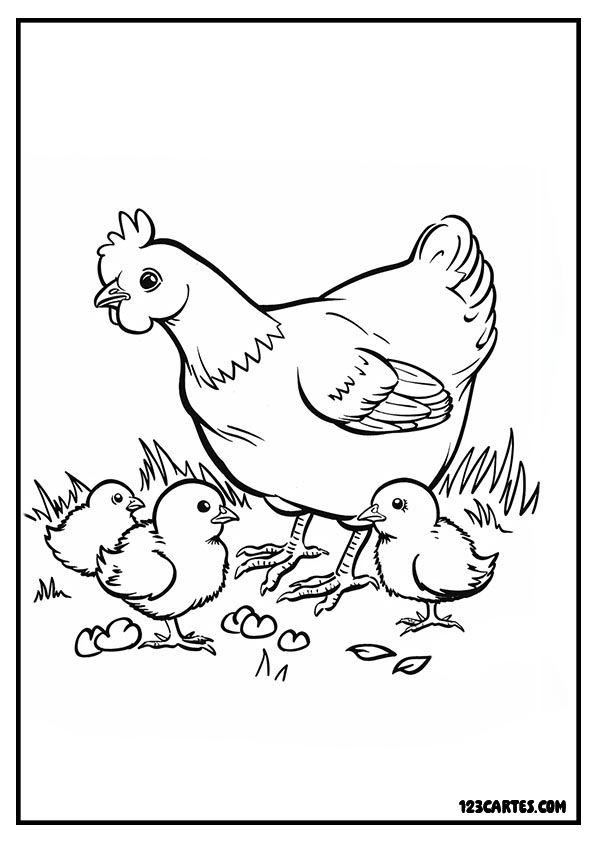 Coloriage d'une poule entourée de ses poussins, parfait pour l'apprentissage de la vie à la ferme