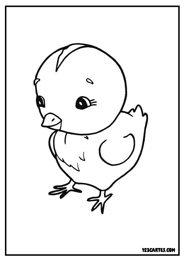 Coloriage adorable d'un poussin, excellent pour les activités préscolaires