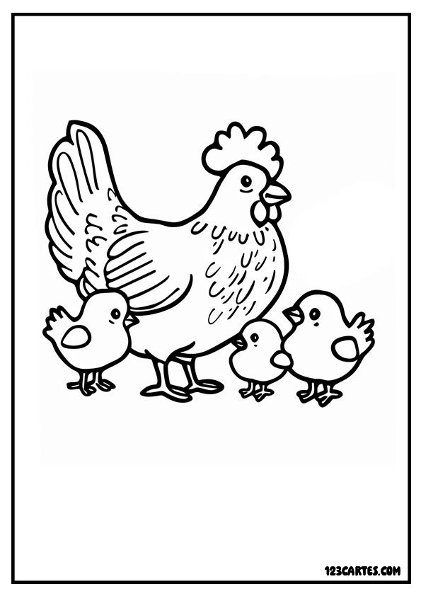 Coloriage mignon d'une poule et trois poussins