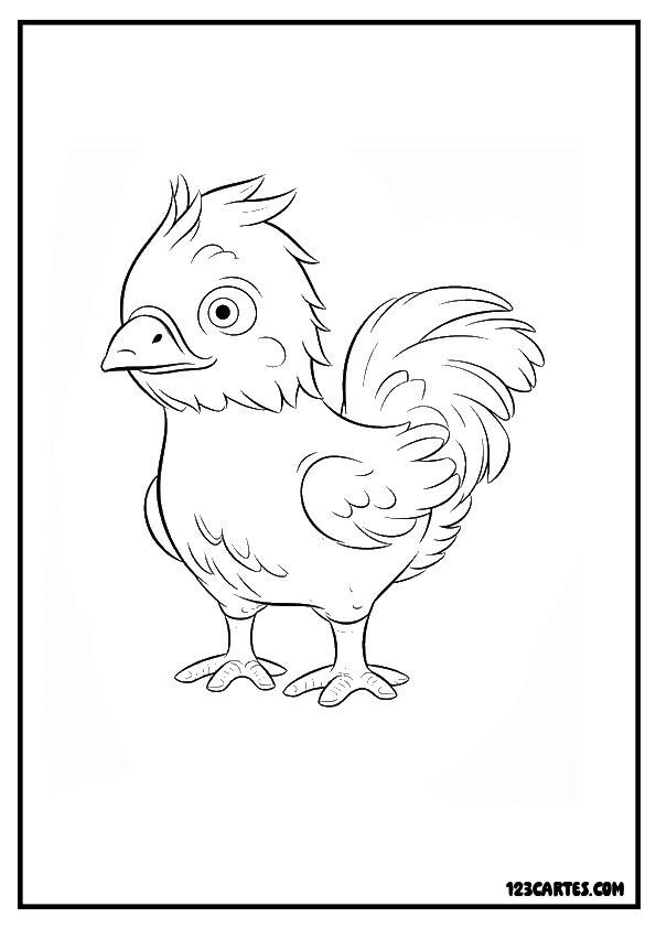 Dessin expressif d'un jeune coq