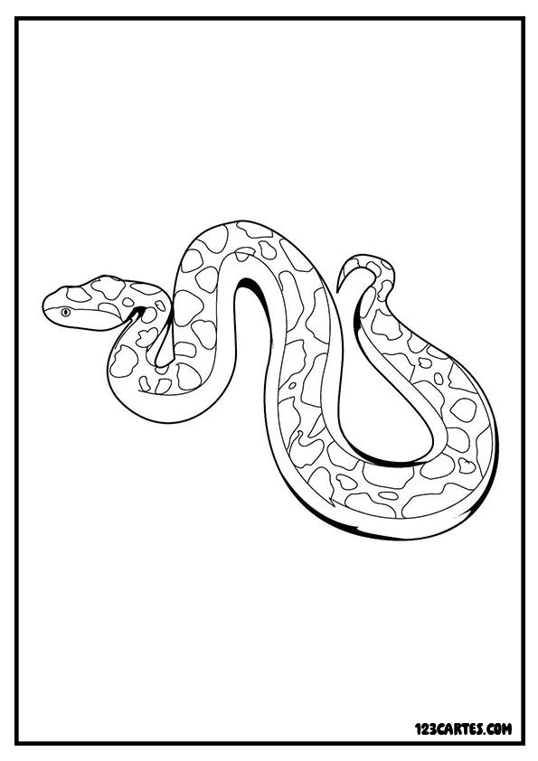 Coloriage d'un serpent s'enroulant sur lui-même, excellent pour travailler les motifs et les formes