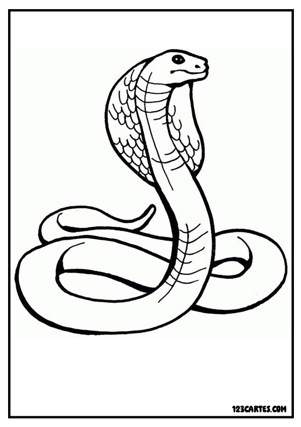 Coloriage réaliste d'un cobra dressé, idéal pour les passionnés de serpents